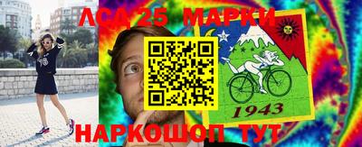 мдпв Камышлов