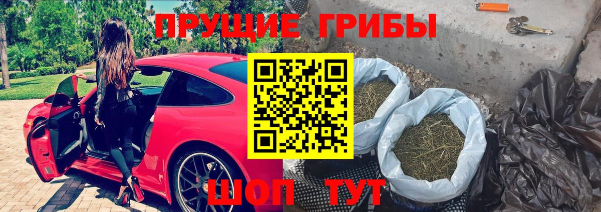 Галлюциногенные грибы Psilocybe  Вход с VPN  Усть-Джегута  Псилоцибиновые грибы мухоморы 