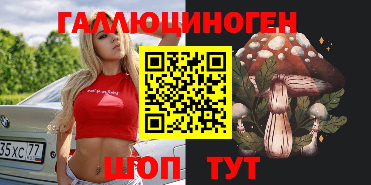 Галлюциногенные грибы Cubensis Усть-Джегута