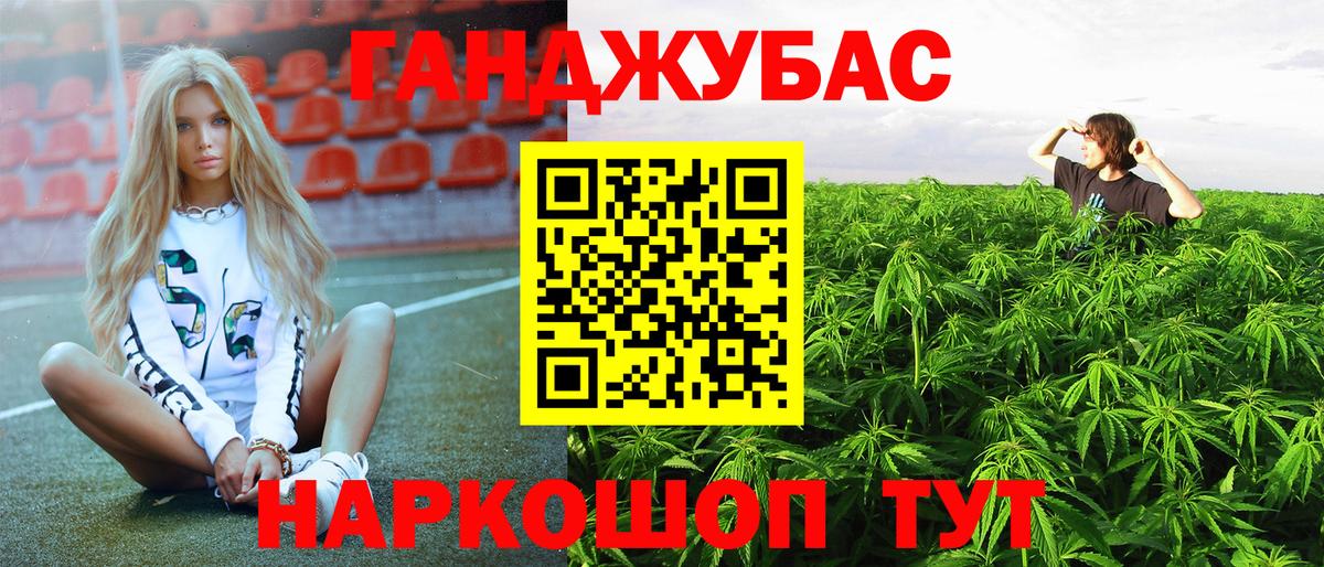 МАРИХУАНА сатива Усть-Джегута